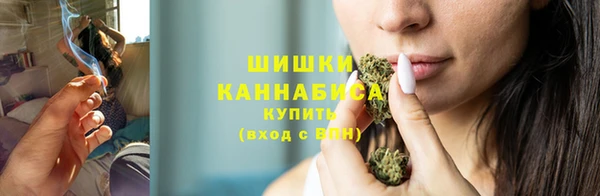 ГАЛЛЮЦИНОГЕННЫЕ ГРИБЫ Балахна