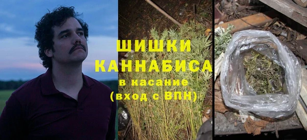 ГАЛЛЮЦИНОГЕННЫЕ ГРИБЫ Балахна
