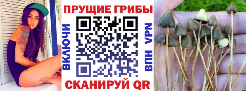 наркотики  Белогорск  Галлюциногенные грибы прущие грибы 